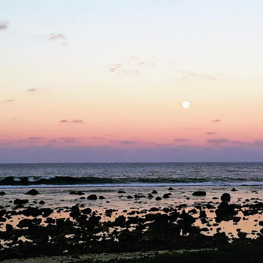 Herons Reef Holiday Apartments Rarotonga Exterior foto